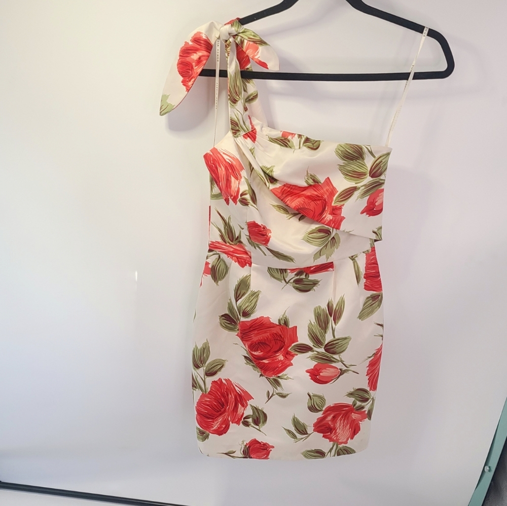 Alexia admor red cream green‎ floral print one sleeve mini dress size x small